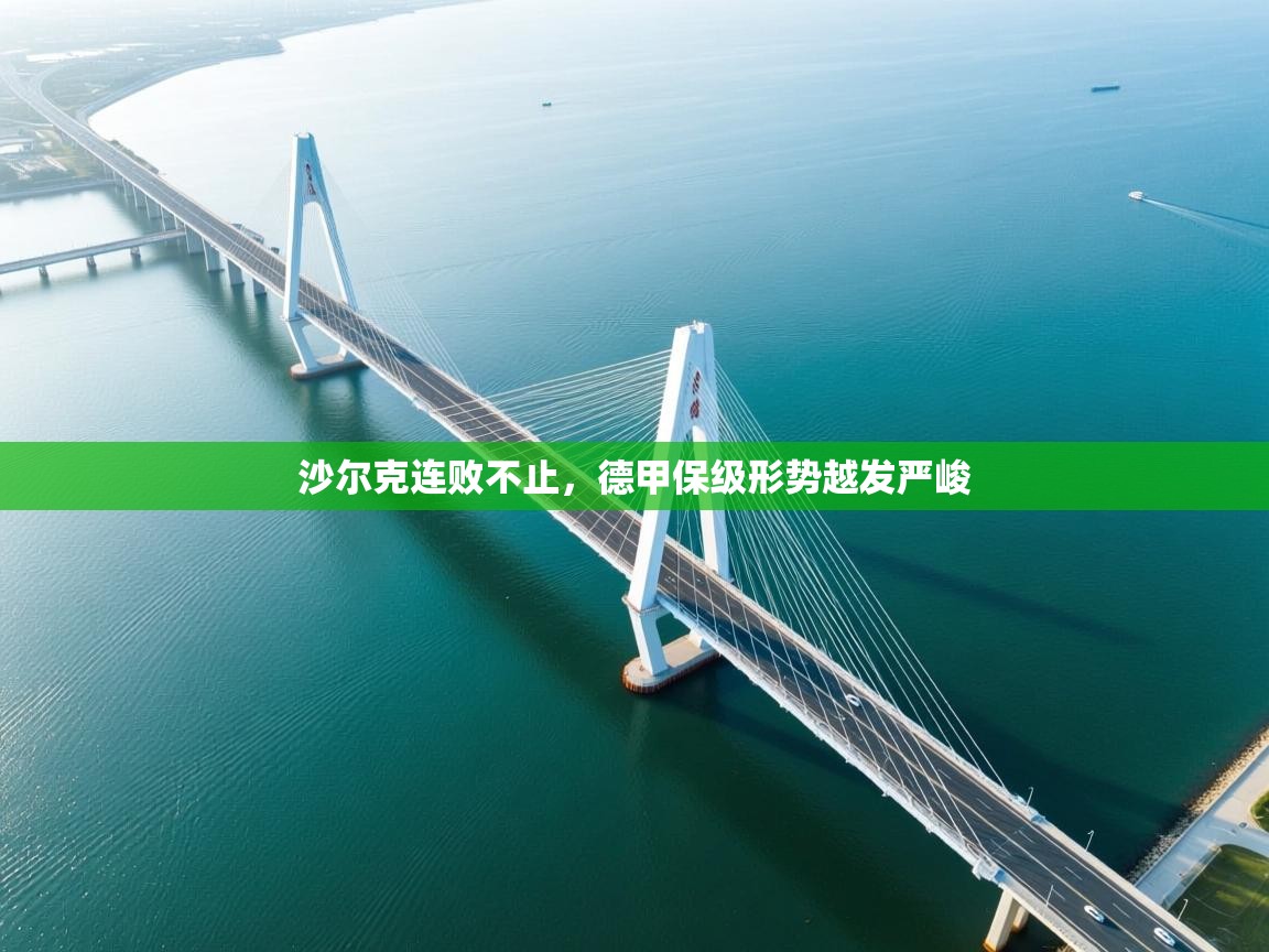 沙尔克连败不止，德甲保级形势越发严峻  第1张