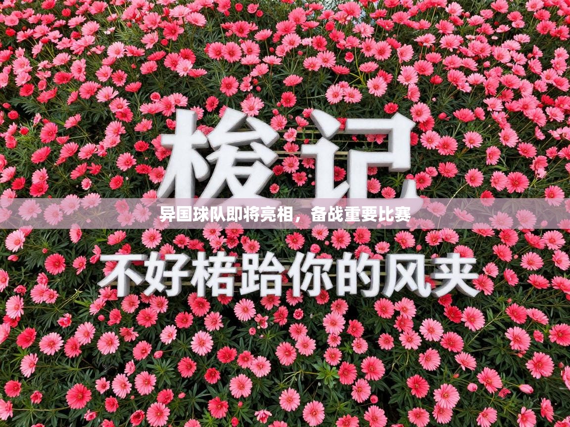 异国球队即将亮相,备战重要比赛 第2张