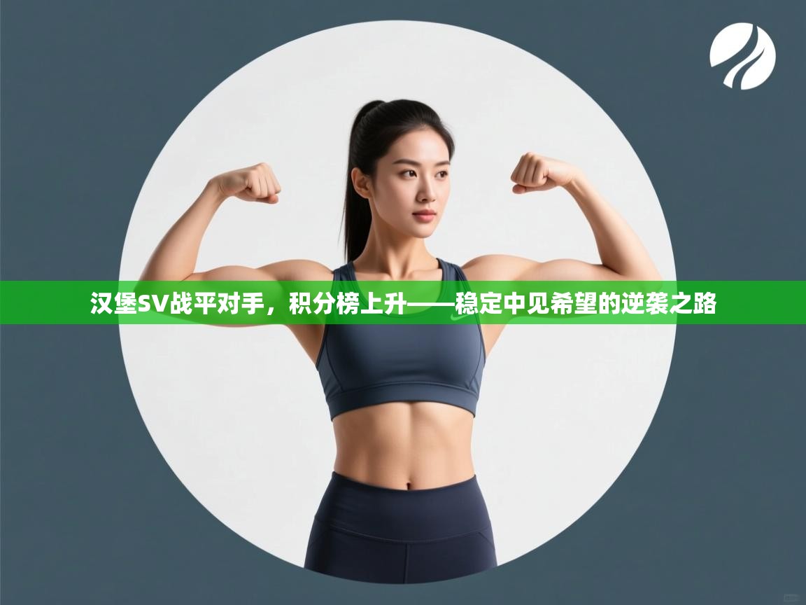 汉堡SV战平对手，积分榜上升——稳定中见希望的逆袭之路  第1张