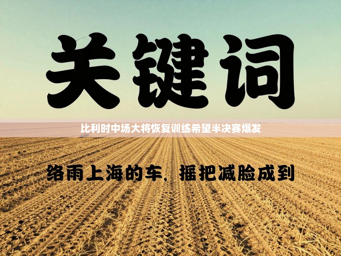 比利时中场大将恢复训练希望半决赛爆发 第1张